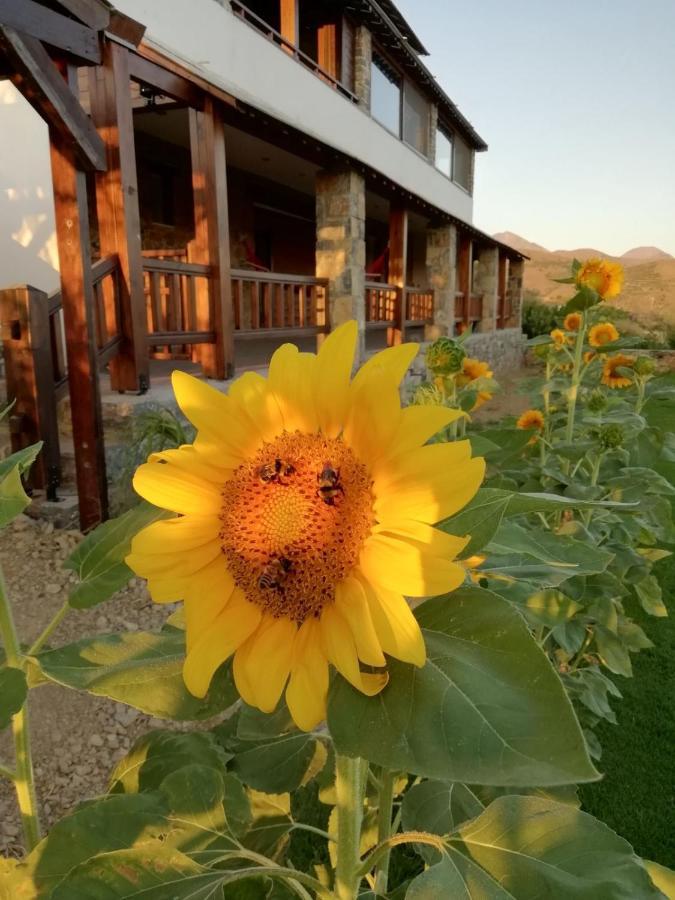 Anemomylos House Exo Mouliana Dış mekan fotoğraf